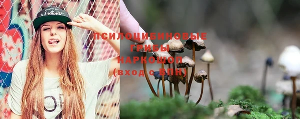 бошки Аркадак