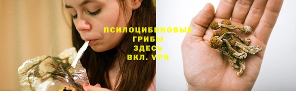 бошки Армянск