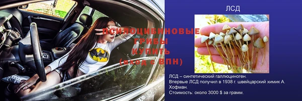 бошки Аркадак