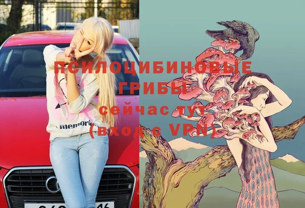mdpv Арсеньев