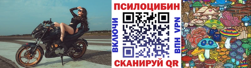 Галлюциногенные грибы мицелий  где найти наркотики  Рассказово 